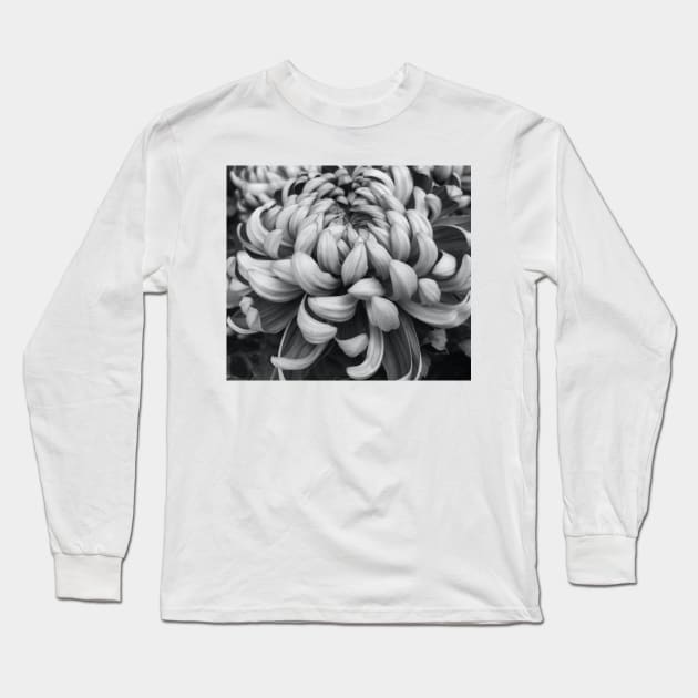 Dark to Light Long Sleeve T-Shirt by Photomersion